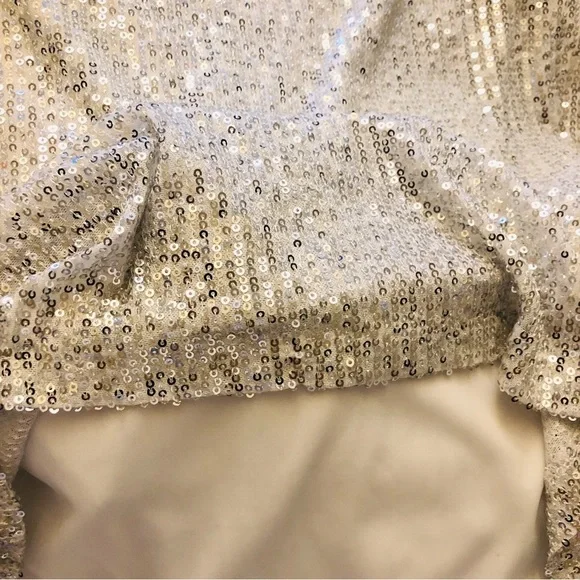 Silver Sequin Cap Sleeve Top - Picture 5 of 7